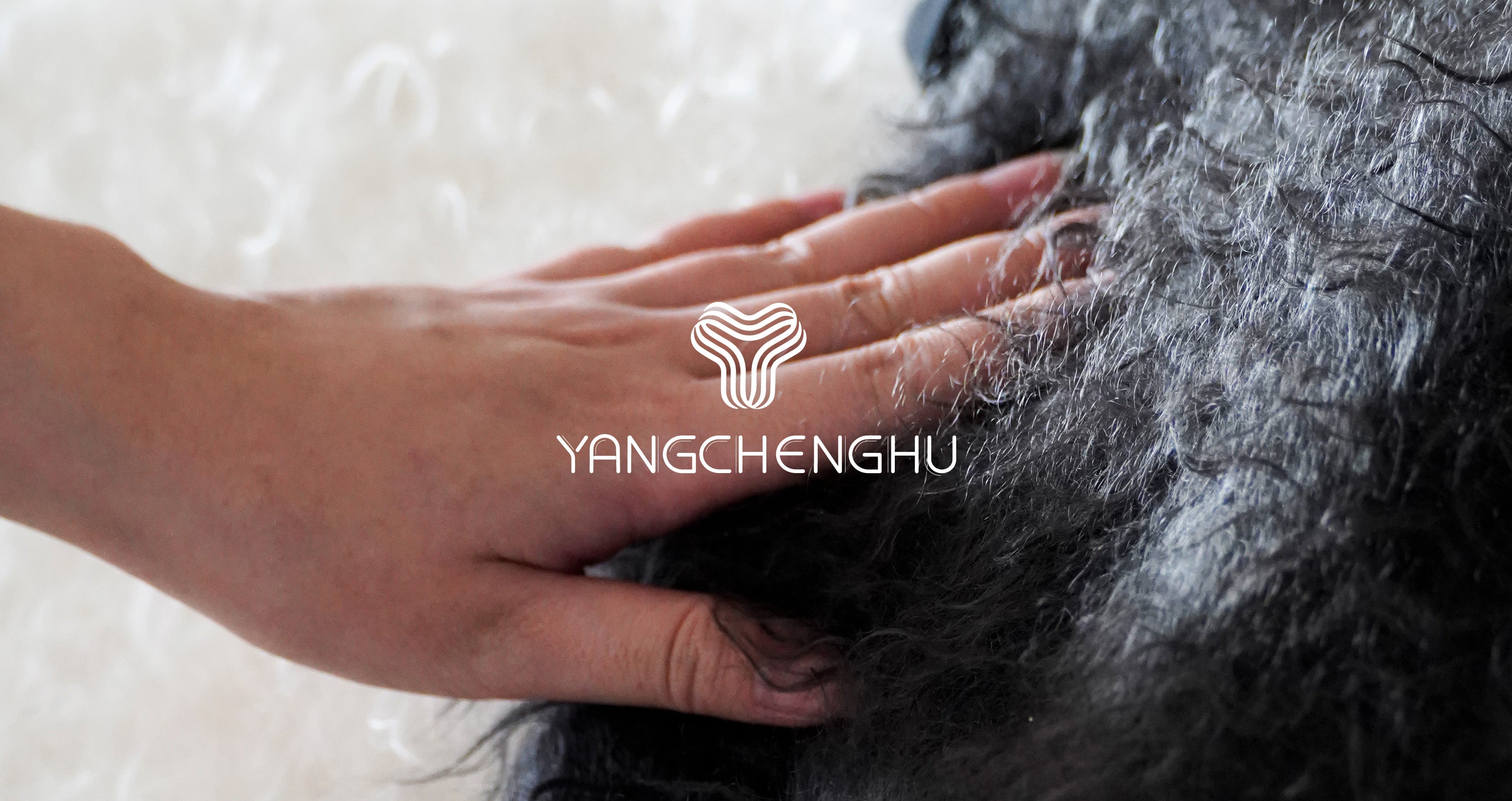 Sourcing Cashmere Coats for Wholesale & Major Brands: What Professional Buyers Really Evaluate