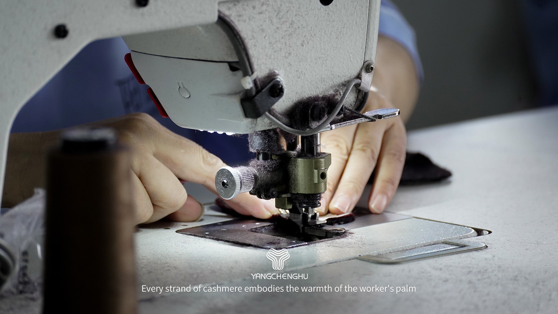 《Beyond Manufacturing: A 32-Year Legacy of Cashmere Excellence in Suzhou's Sustainable Landscape》